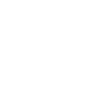 Rajasthan Royals